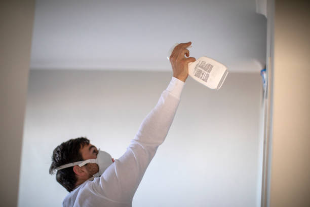 Best Black Mold Removal  in Pottsville, PA