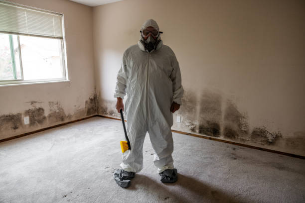 Crawl Space Mold Removal in Pottsville, PA