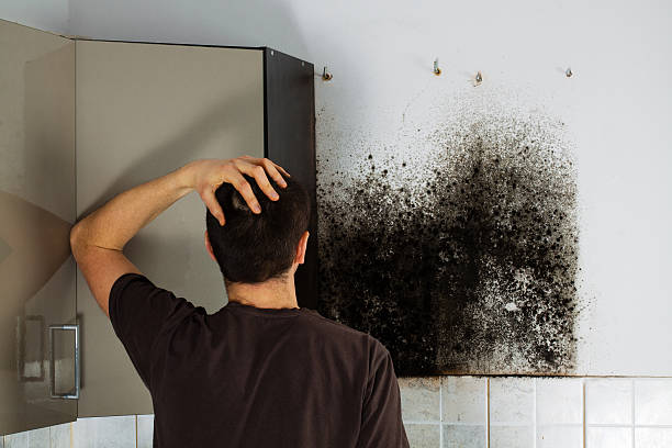 Water Damage Restoration in Pottsville, PA